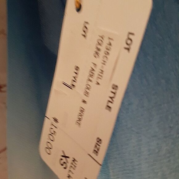 NWT Young Fabulous & Broke Blue Ombre Split Front/Back Sleeveless Top Sz XS $150 - Picture 7 of 8